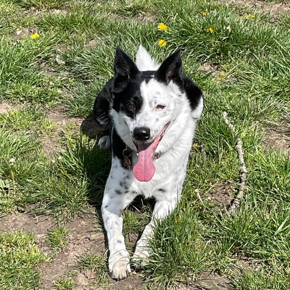 Meet your Posher, Julie - Picture 2 of 2